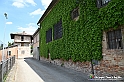 VBS_3798 - Fontanile (Asti) - Murales di Luigi Amerio